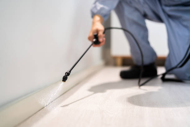 Licensed Mosquito Control service in Sardis, MS - Show Me Pest Control