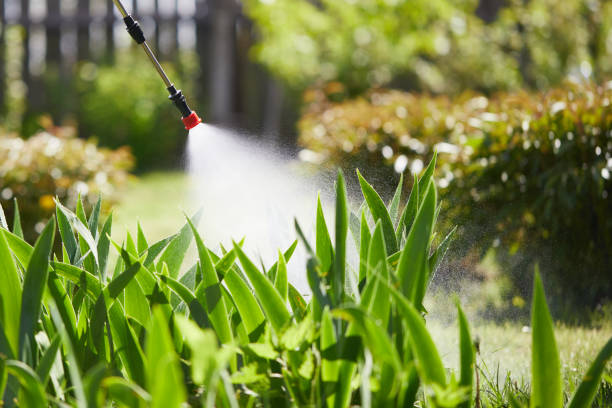 24/7 Emergency Mosquito Control experts in Sardis, MS